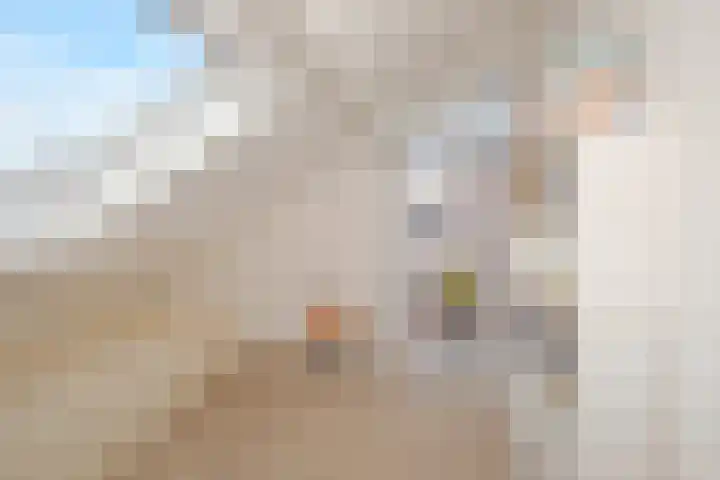 Havezathe 26 Almelo thumbnail 24