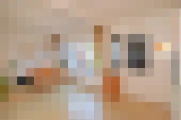 Havezathe 26 Almelo thumbnail 9