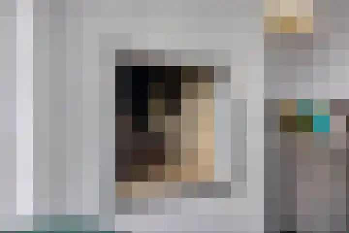 Havezathe 34 Almelo thumbnail 10