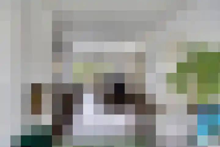 Havezathe 34 Almelo thumbnail 11