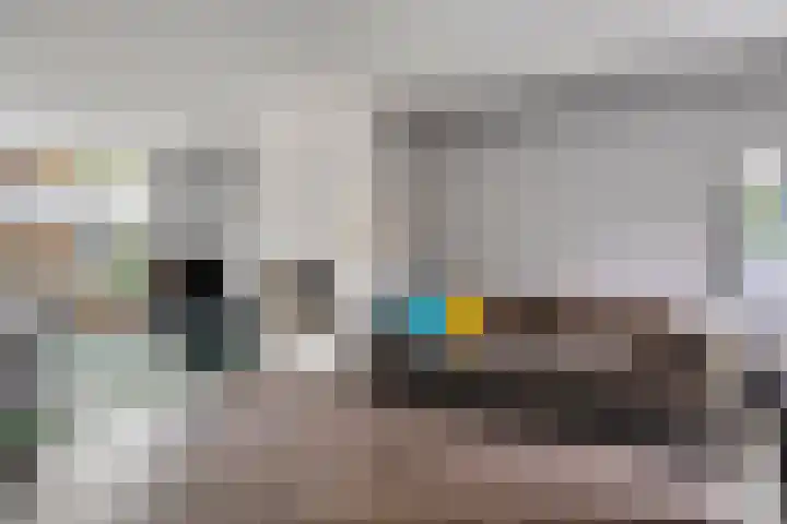 Havezathe 34 Almelo thumbnail 12
