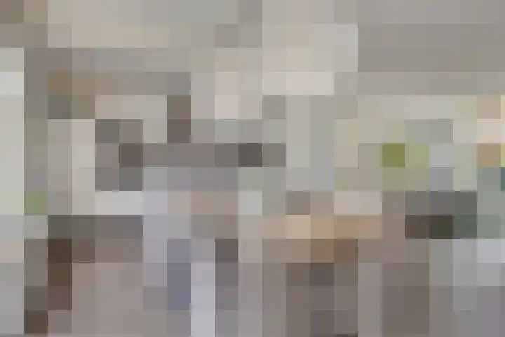 Havezathe 34 Almelo thumbnail 13