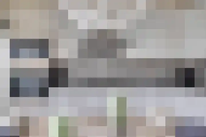 Havezathe 34 Almelo thumbnail 17