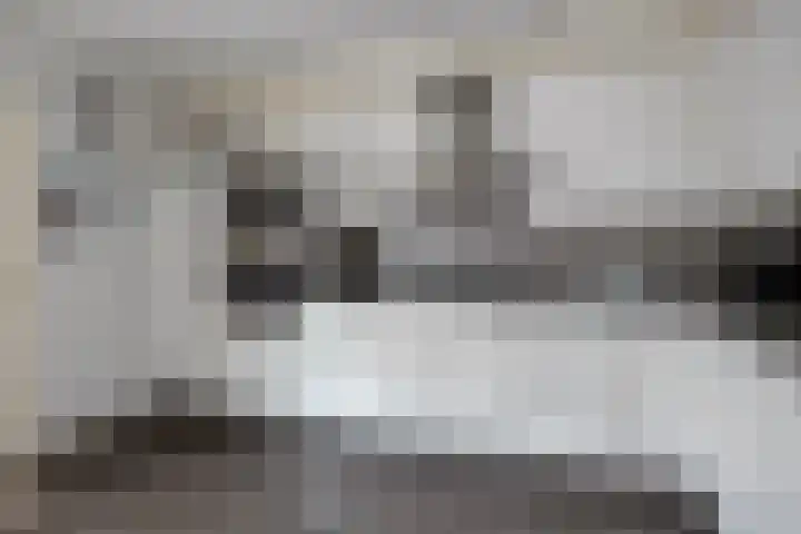 Havezathe 34 Almelo thumbnail 18