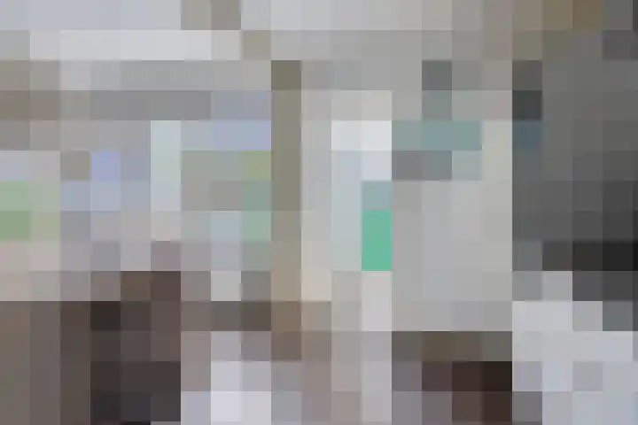 Havezathe 34 Almelo thumbnail 19