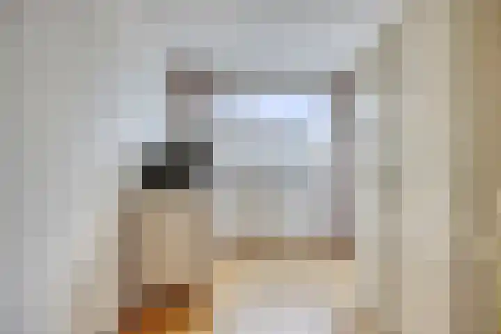 Havezathe 34 Almelo thumbnail 25