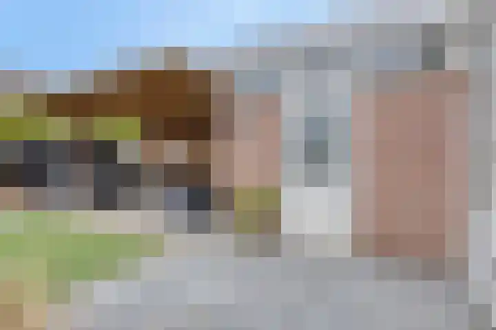 Havezathe 34 Almelo thumbnail 32