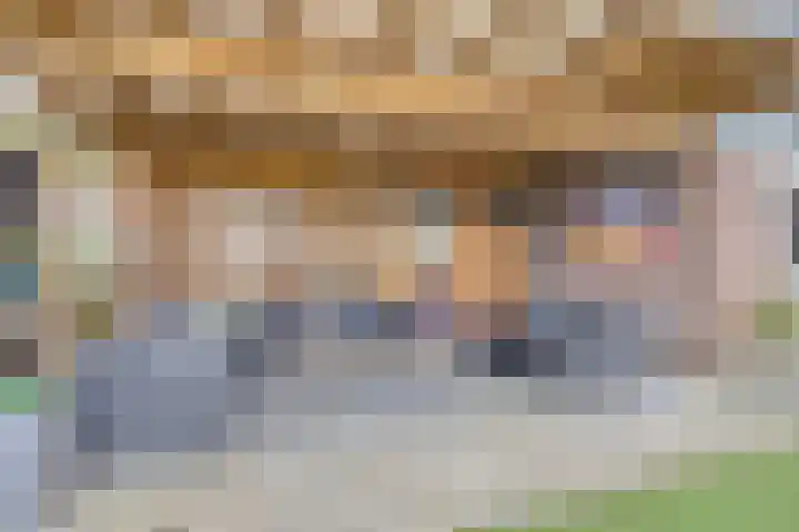 Havezathe 34 Almelo thumbnail 33