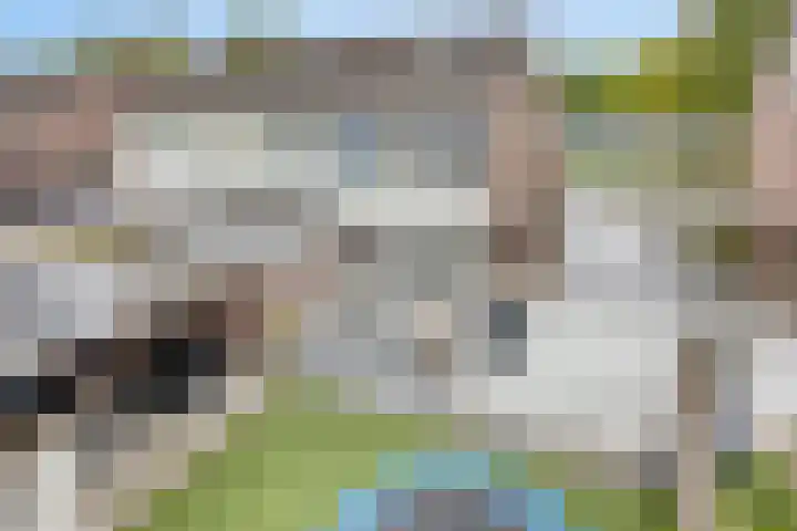 Havezathe 34 Almelo thumbnail 38