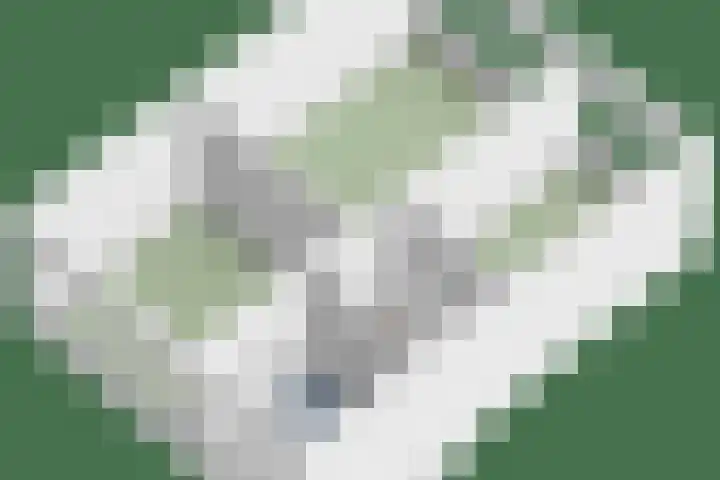Havezathe 34 Almelo thumbnail 44
