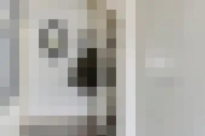 Havezathe 34 Almelo thumbnail 7