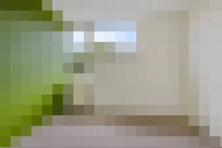 Havezathelaan 104 Zuidlaren thumbnail 10