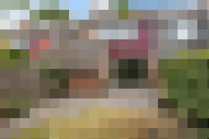 Havezathelaan 104 Zuidlaren thumbnail 14