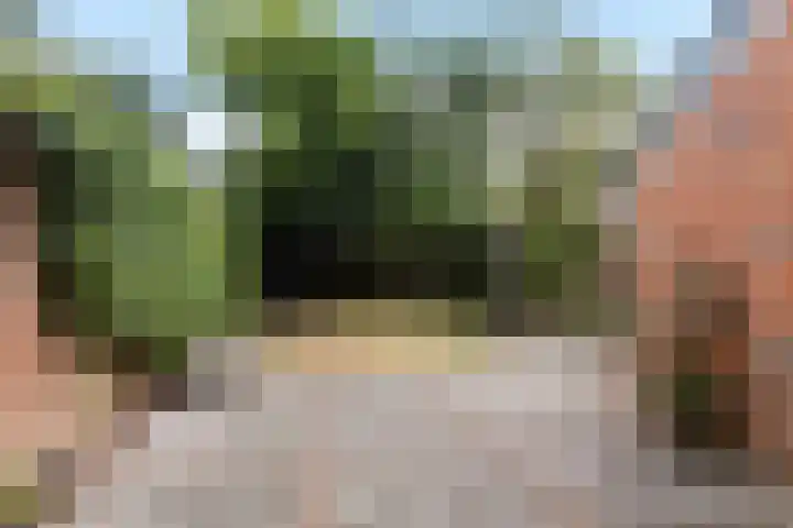 Havezathelaan 104 Zuidlaren thumbnail 15