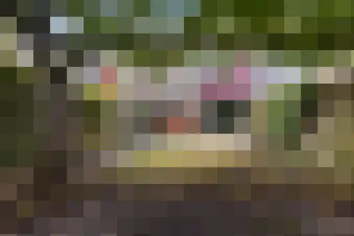 Havezathelaan 104 Zuidlaren thumbnail 16