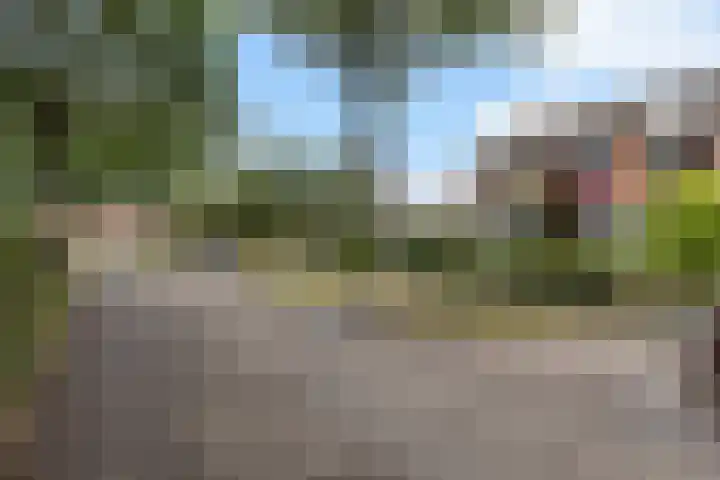 Havezathelaan 104 Zuidlaren thumbnail 18