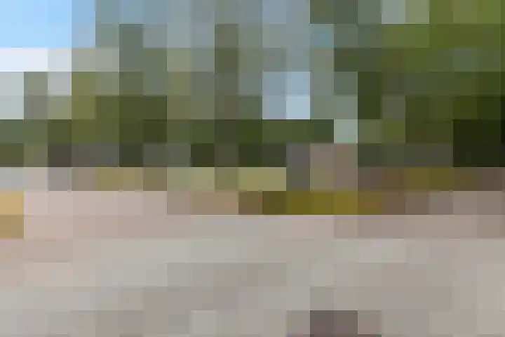 Havezathelaan 104 Zuidlaren thumbnail 20
