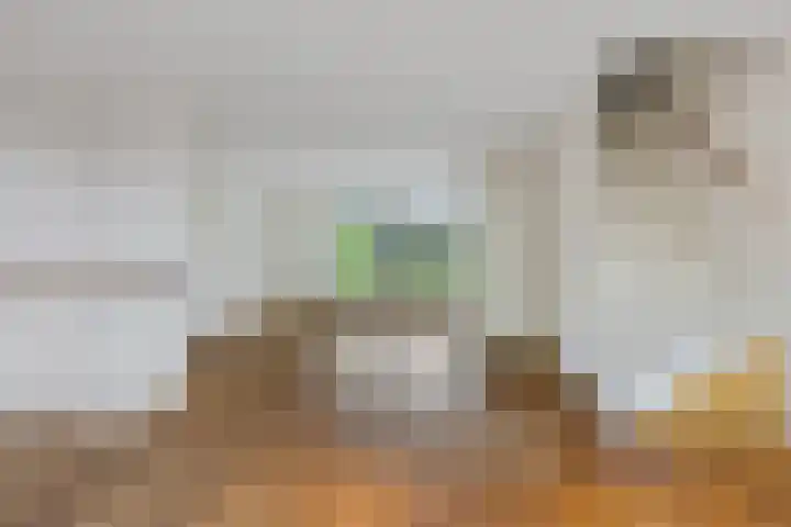 Havezathelaan 104 Zuidlaren thumbnail 4