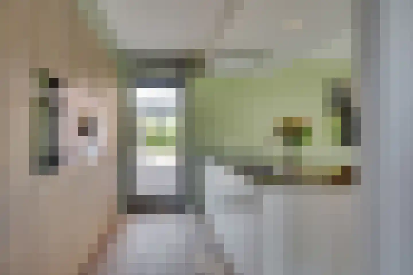 Havezathelaan 4 Leusden thumbnail 13