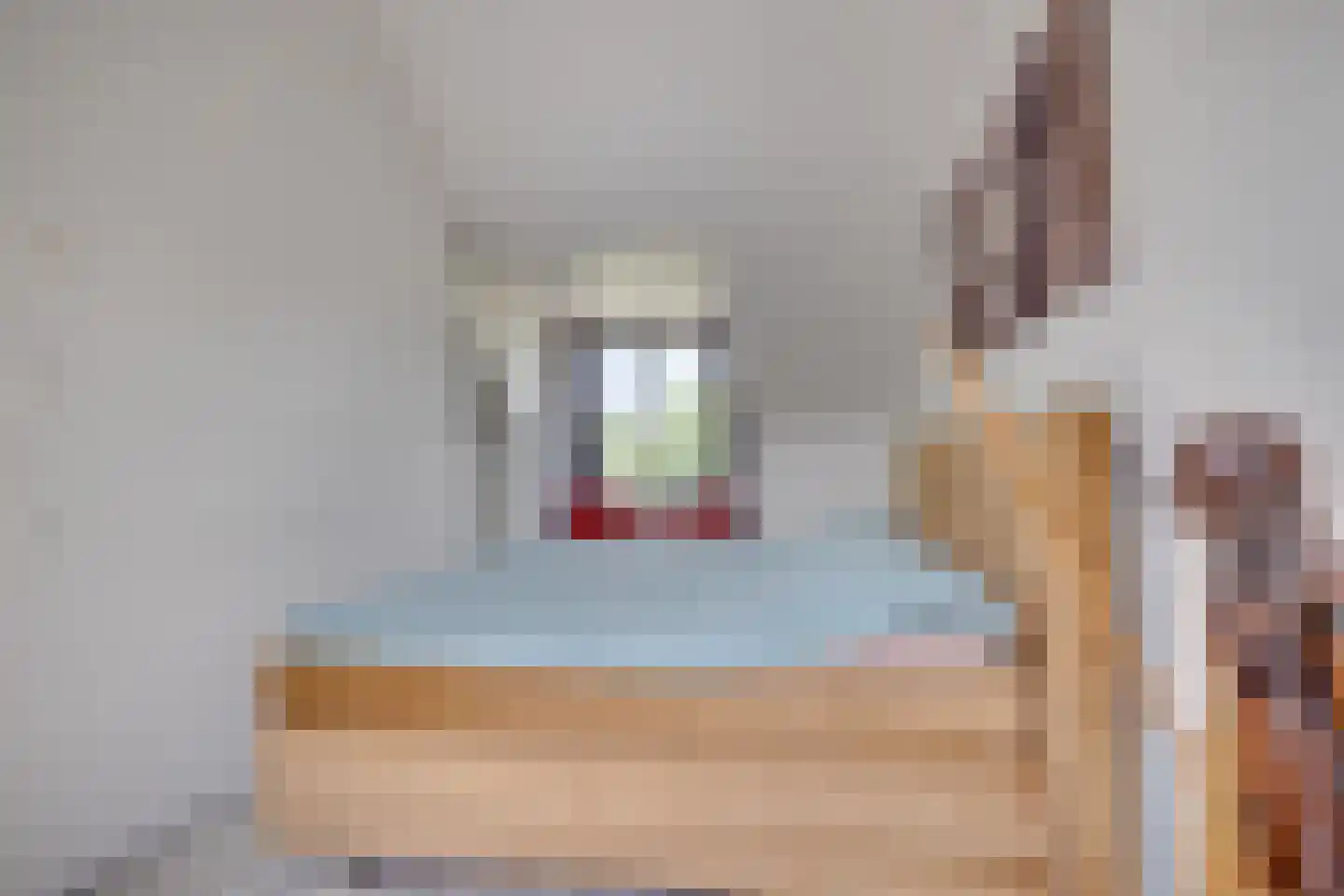 Havezathelaan 4 Leusden thumbnail 23