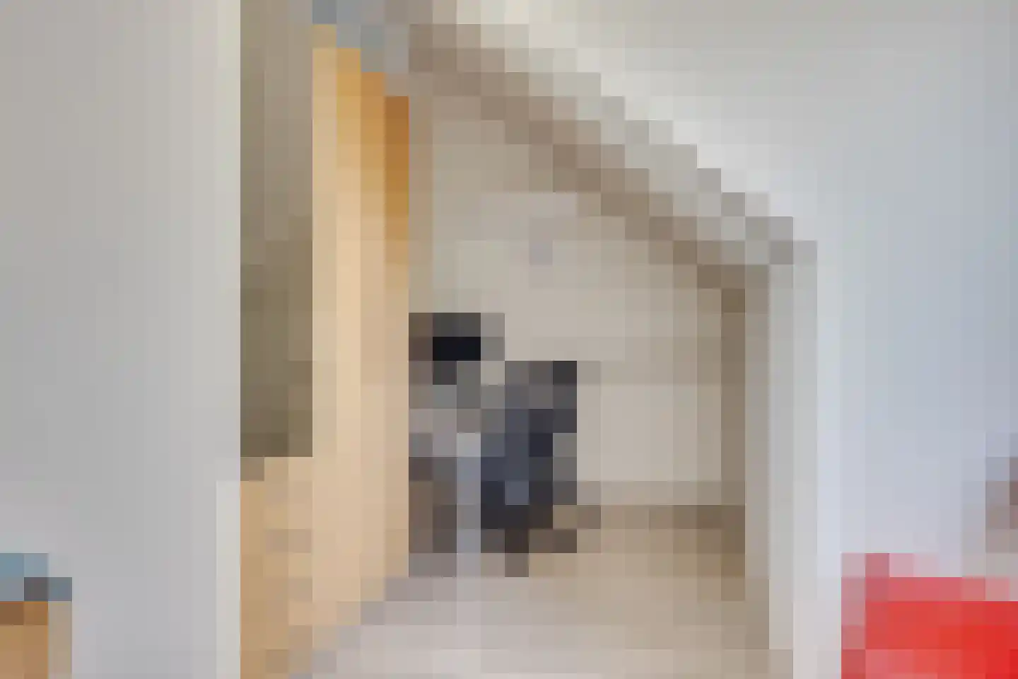 Havezathelaan 4 Leusden thumbnail 26