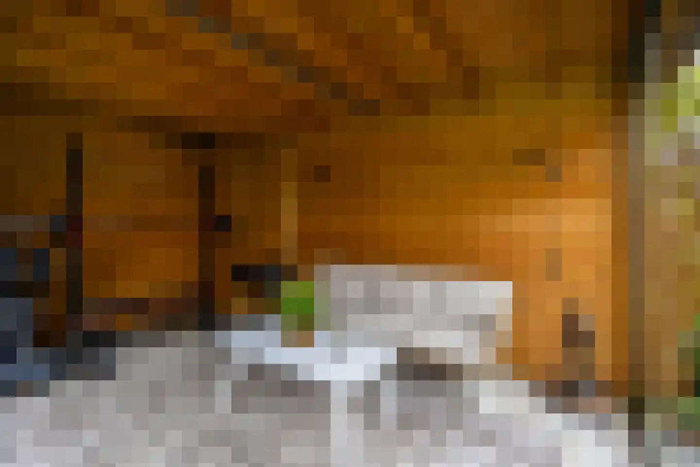 Havezathelaan 4 Leusden thumbnail 33