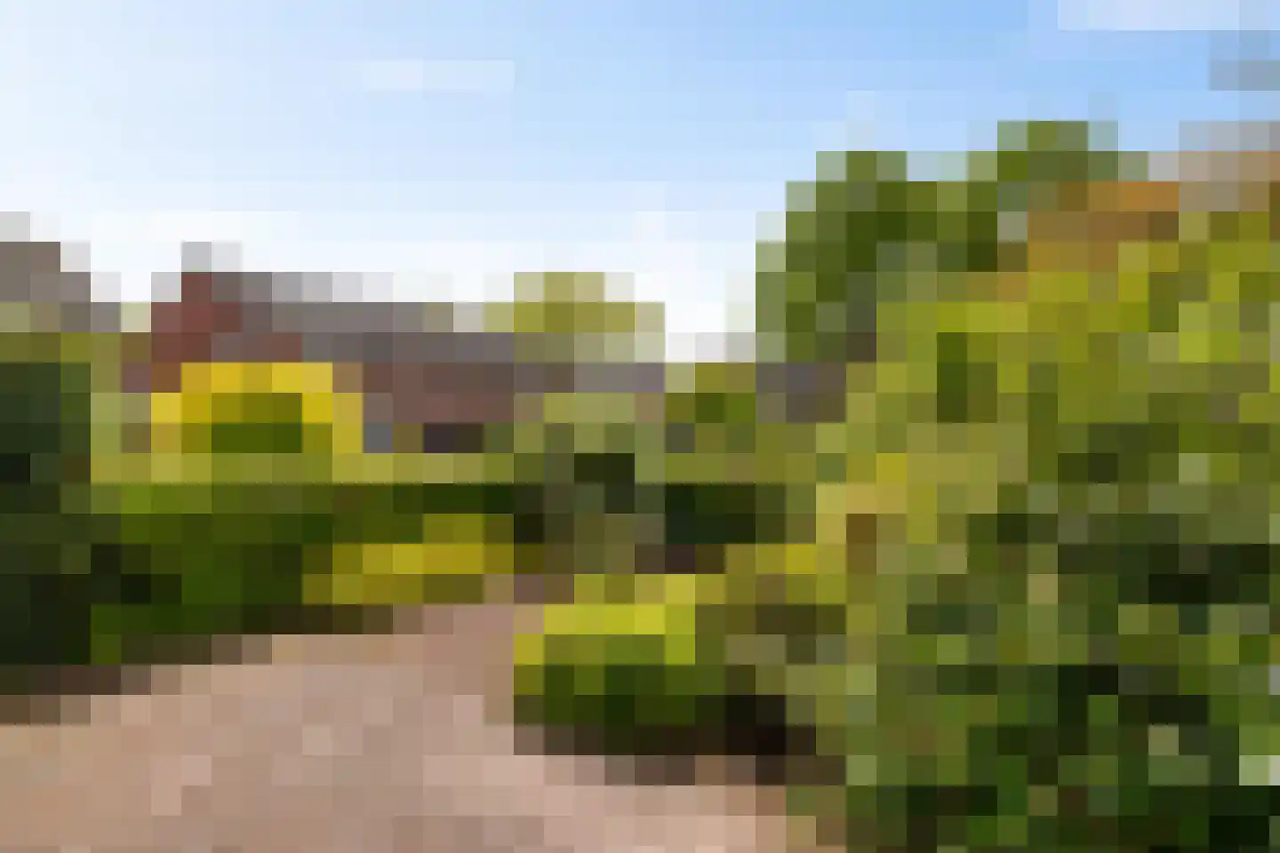 Havezathelaan 44 Zuidlaren thumbnail 12