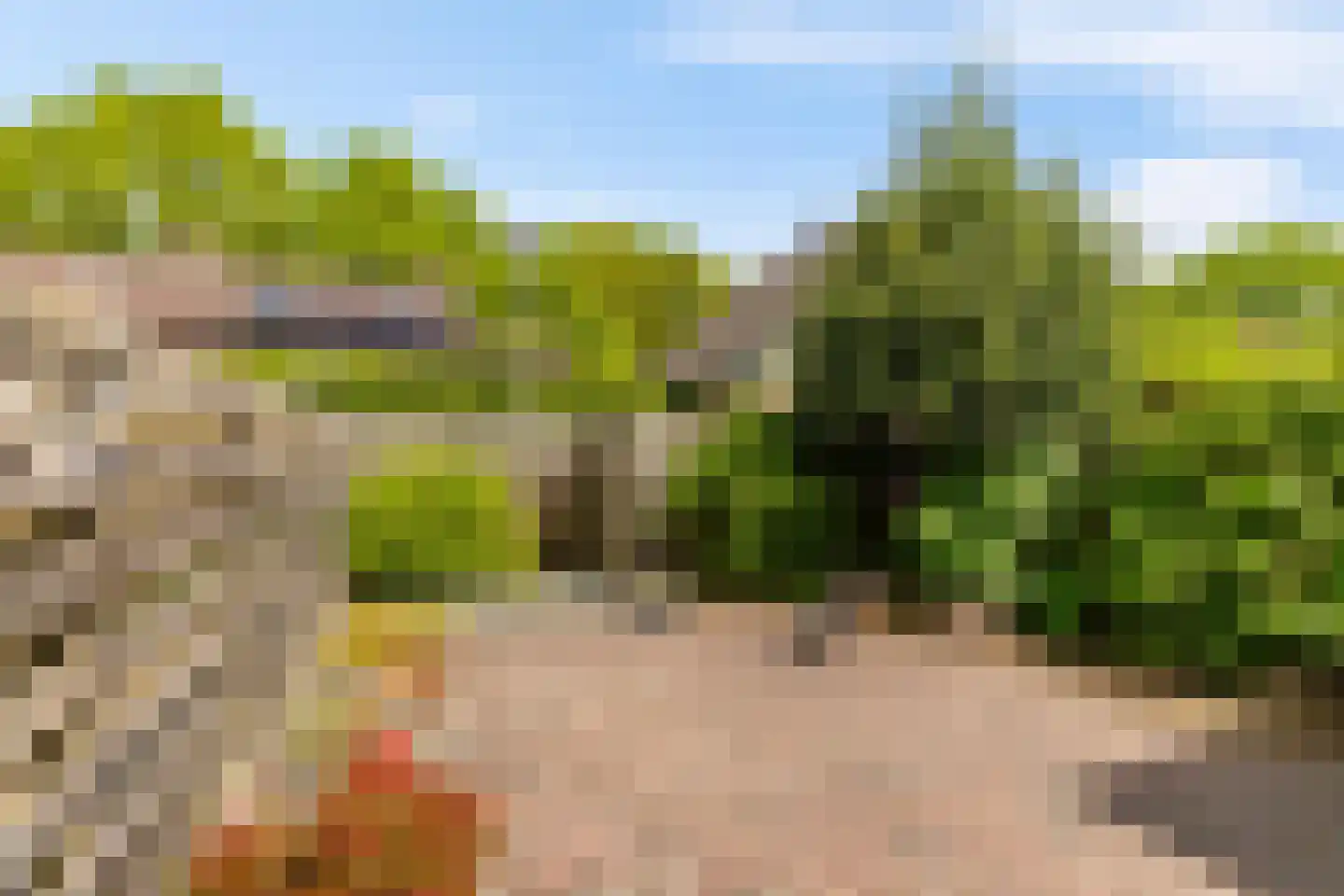 Havezathelaan 44 Zuidlaren thumbnail 13