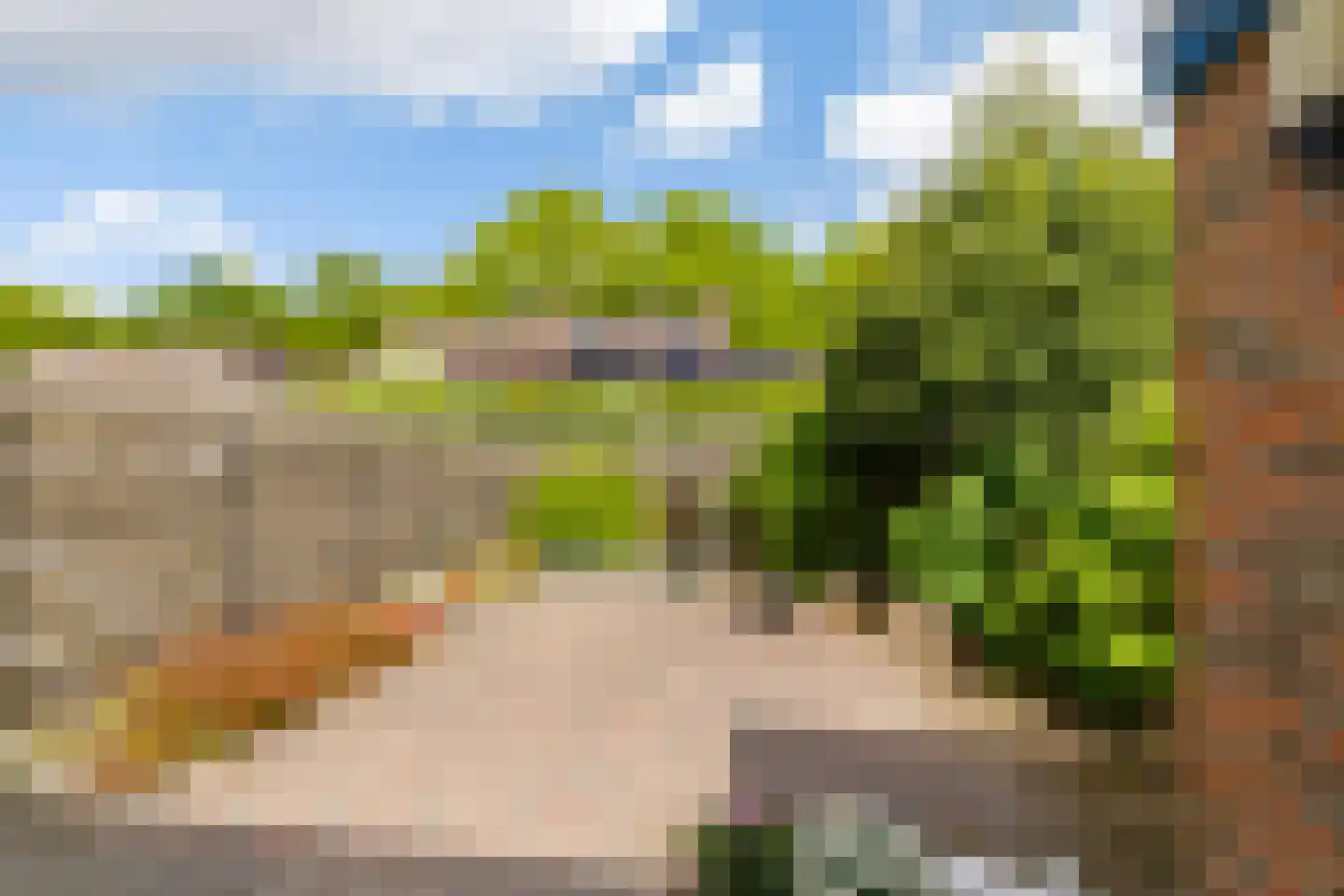 Havezathelaan 44 Zuidlaren thumbnail 15