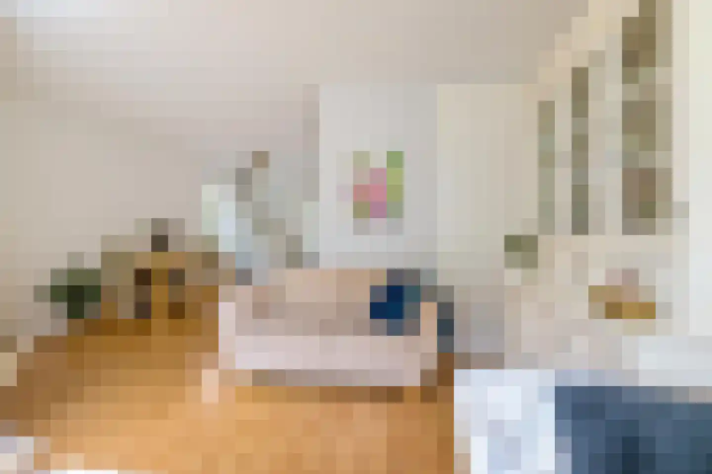 Havezathelaan 44 Zuidlaren thumbnail 18