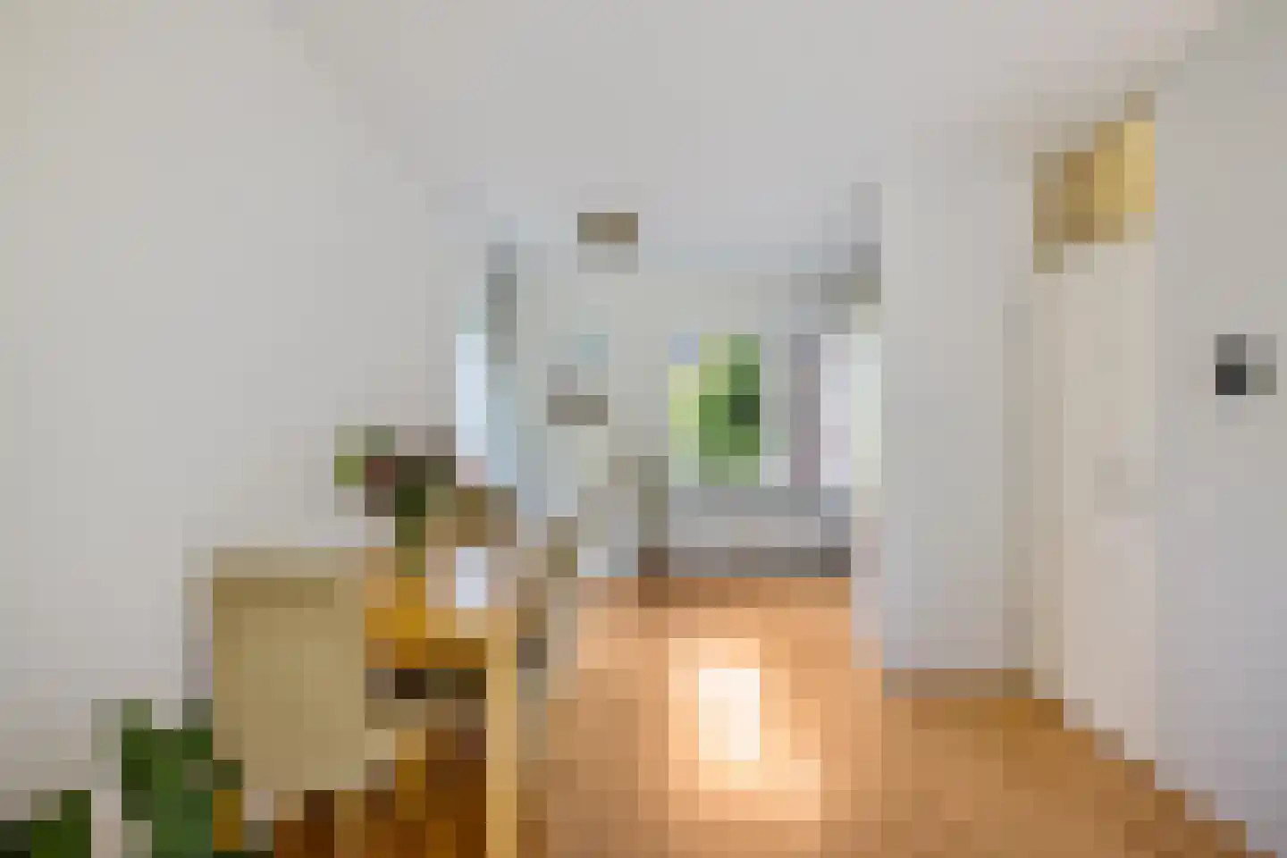 Havezathelaan 44 Zuidlaren thumbnail 19