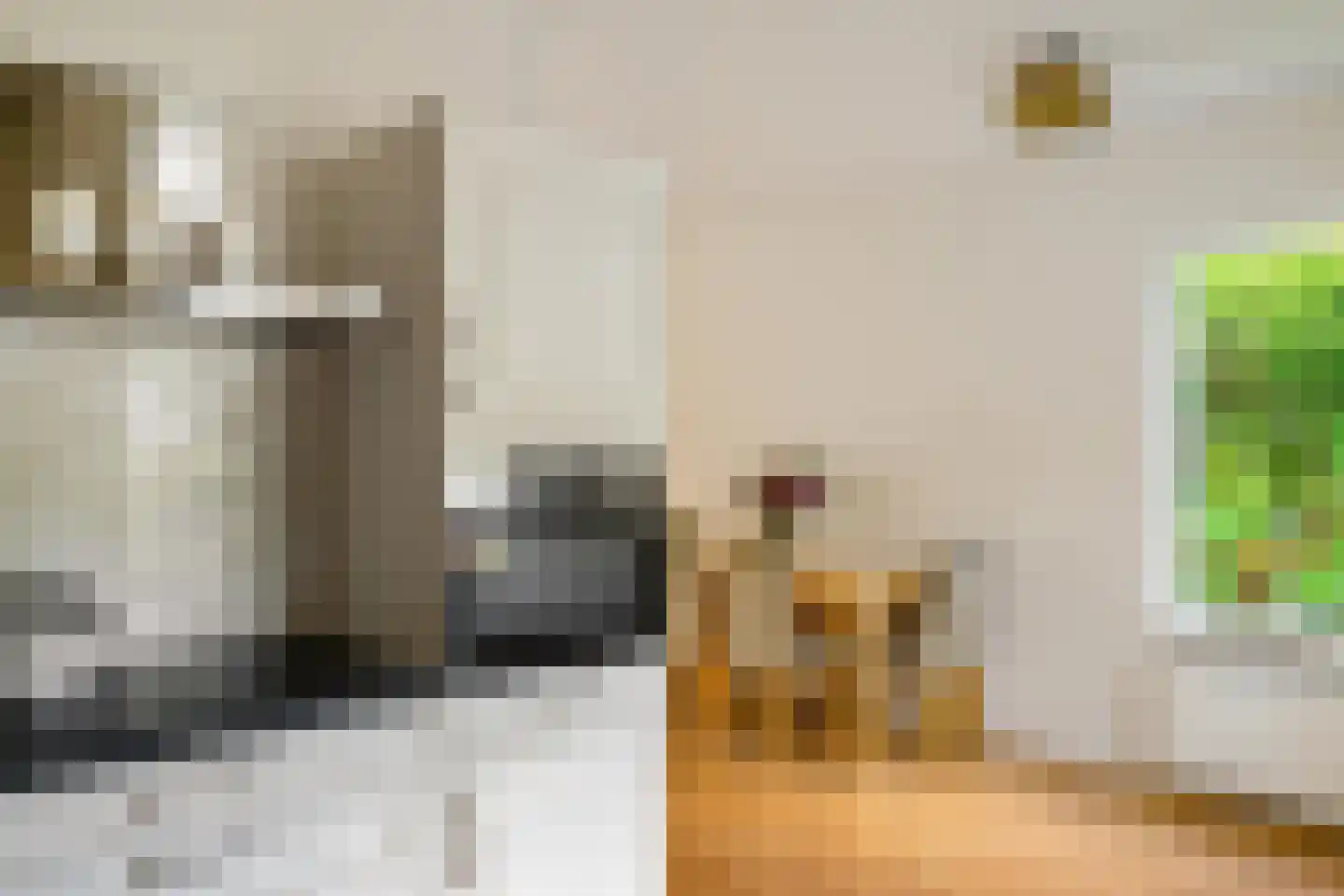 Havezathelaan 44 Zuidlaren thumbnail 22