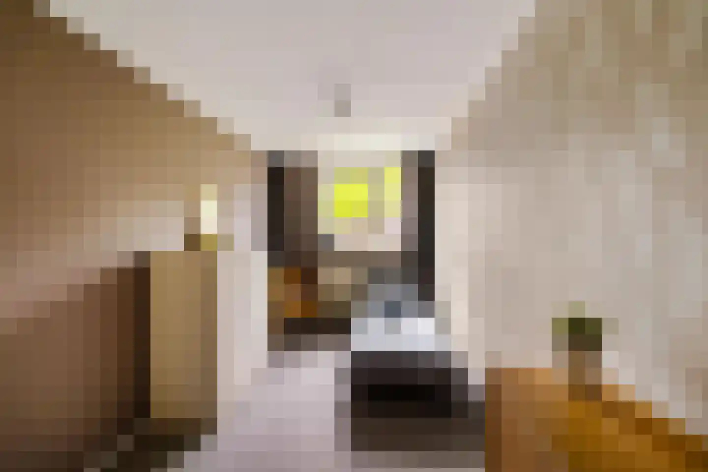 Havezathelaan 44 Zuidlaren thumbnail 26