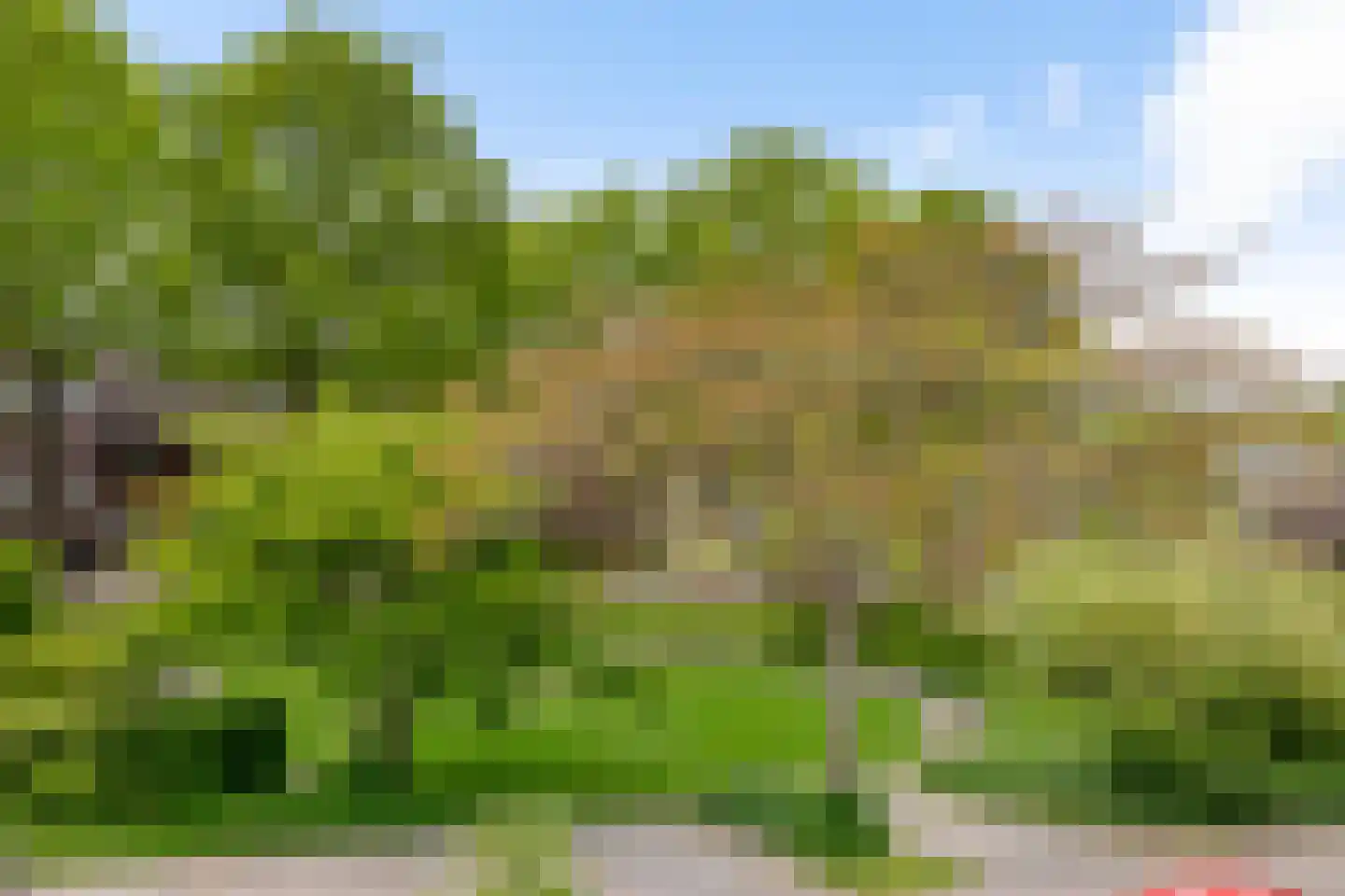 Havezathelaan 44 Zuidlaren thumbnail 30