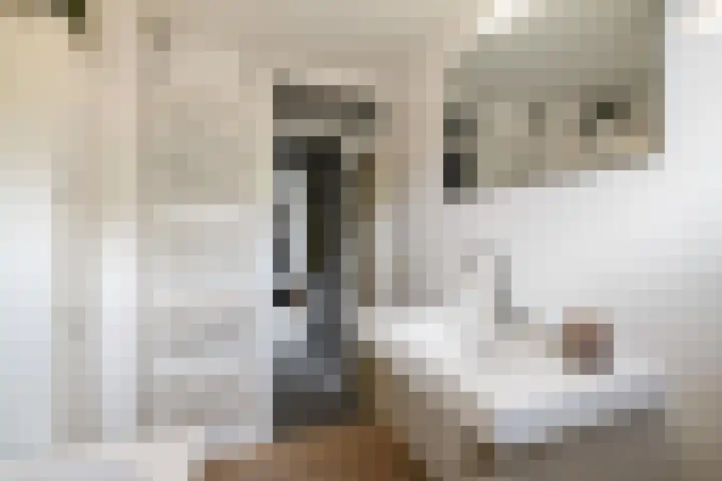 Havezathelaan 44 Zuidlaren thumbnail 31