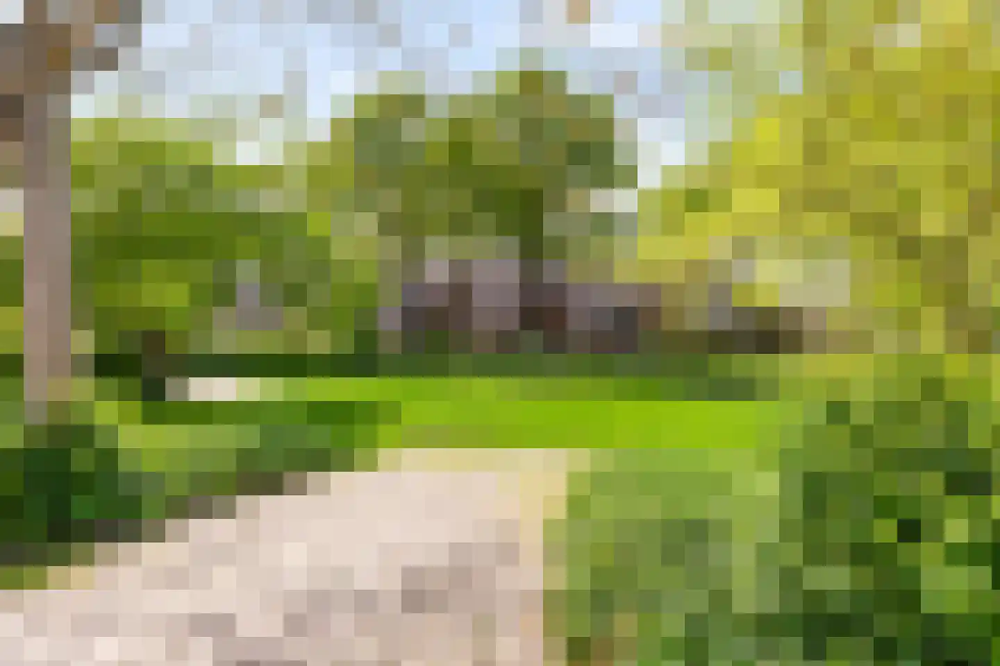 Havezathelaan 44 Zuidlaren thumbnail 7