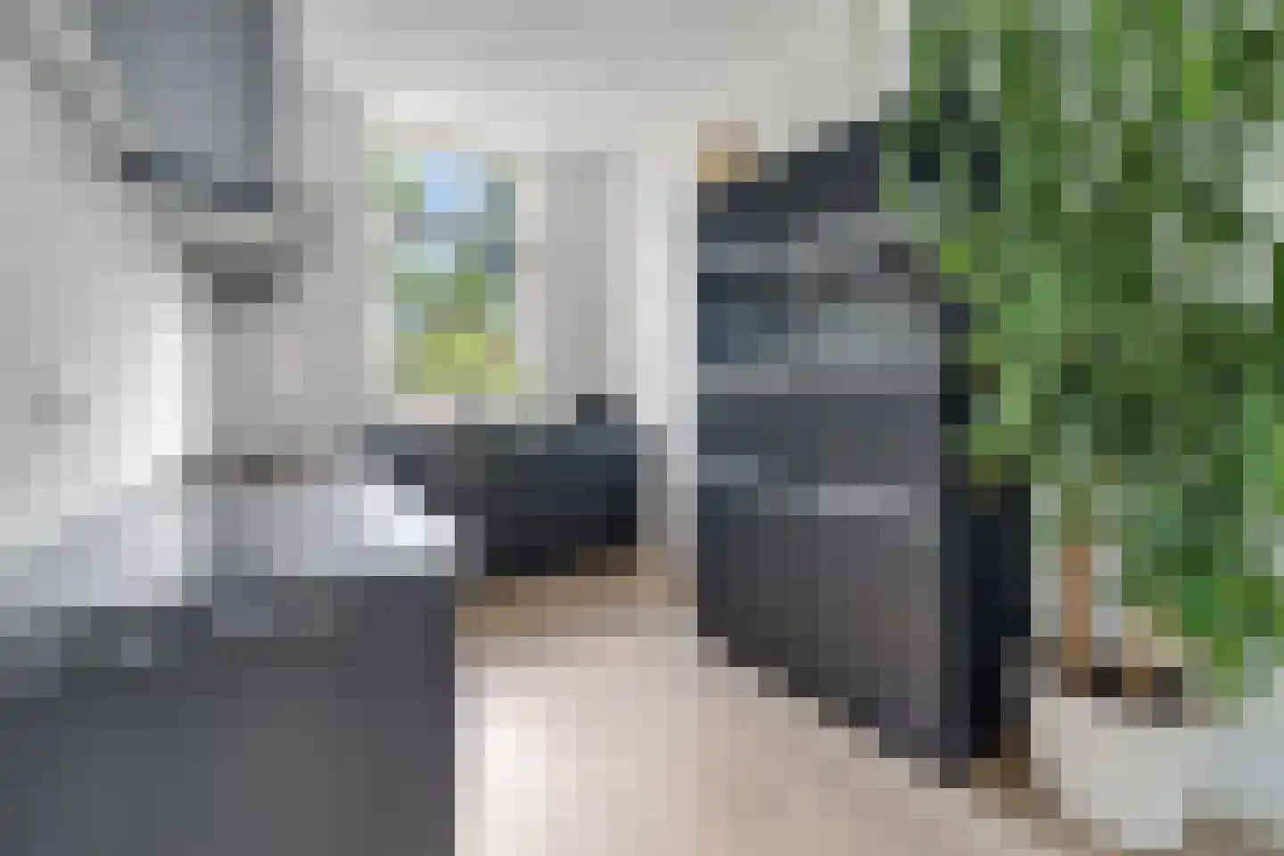 Havezathenallee 112 Zwolle thumbnail 10
