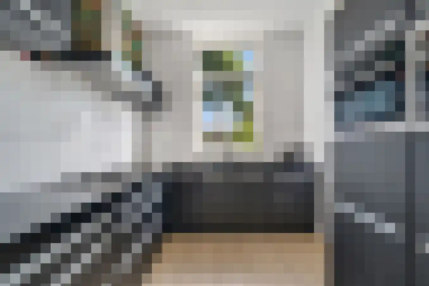 Havezathenallee 112 Zwolle thumbnail 11