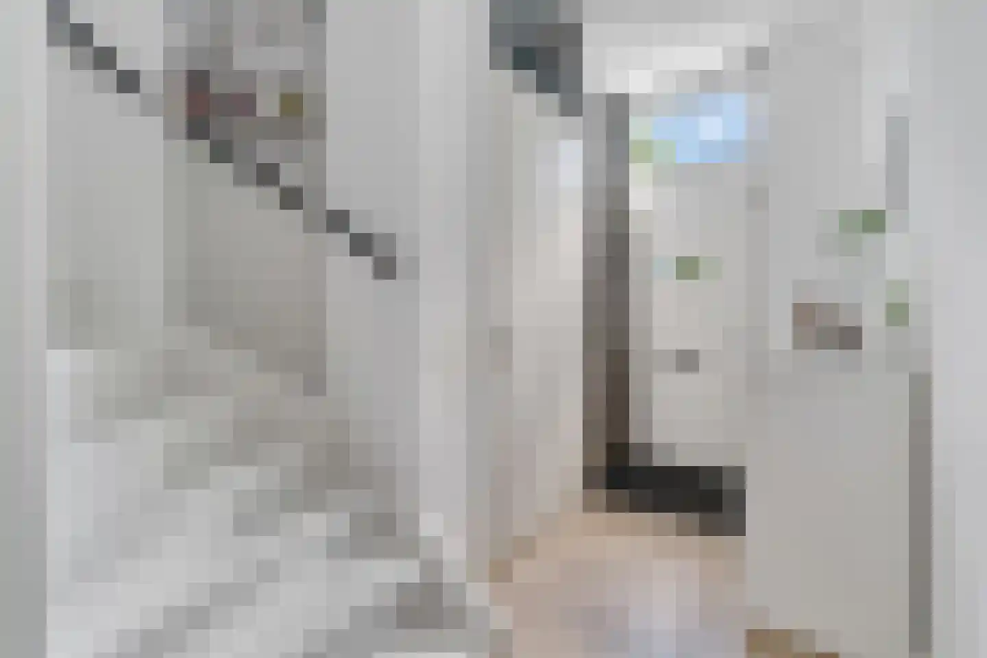 Havezathenallee 112 Zwolle thumbnail 13