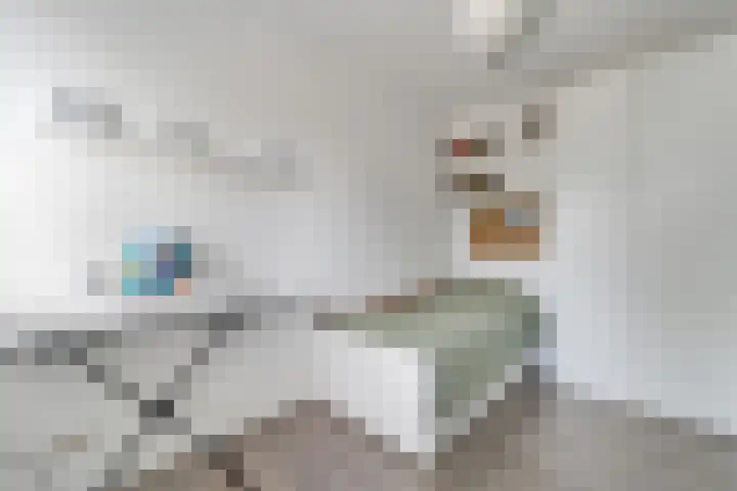 Havezathenallee 112 Zwolle thumbnail 16