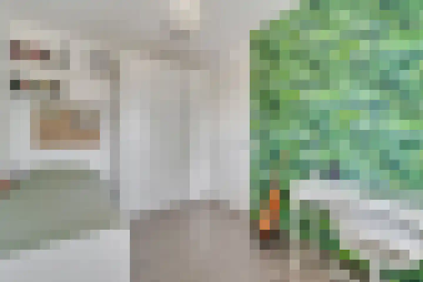 Havezathenallee 112 Zwolle thumbnail 17