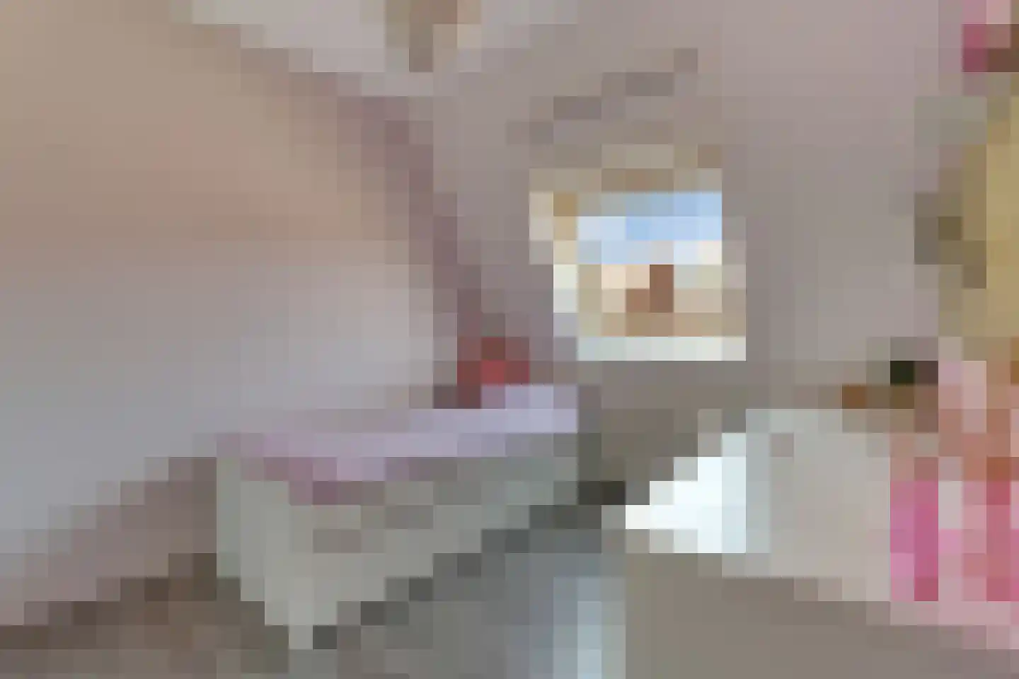 Havezathenallee 112 Zwolle thumbnail 18