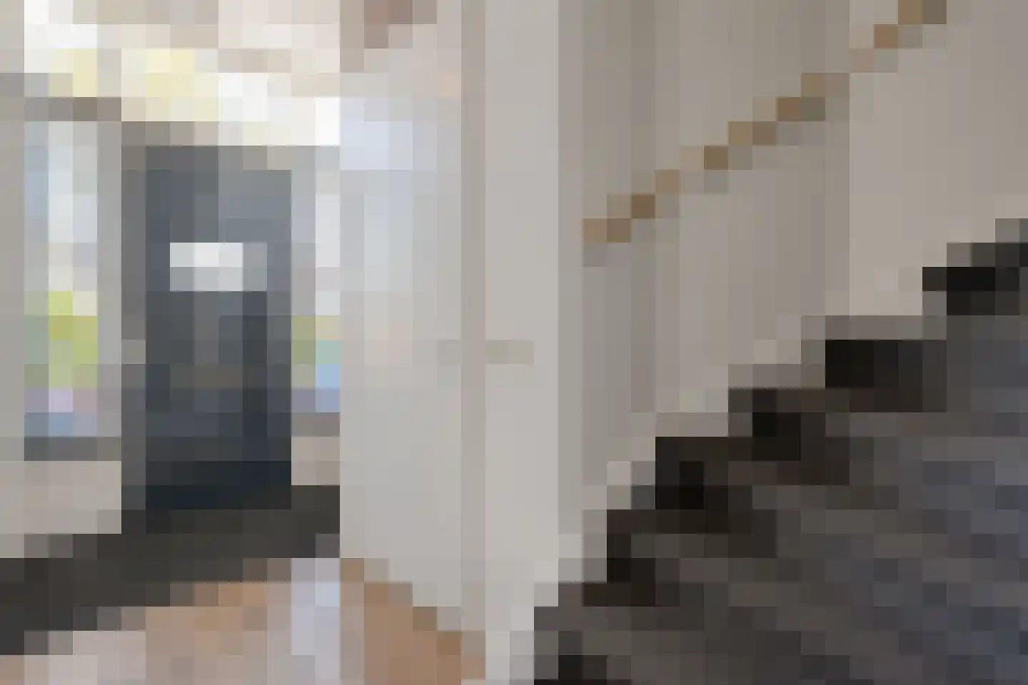 Havezathenallee 144 Zwolle thumbnail 19