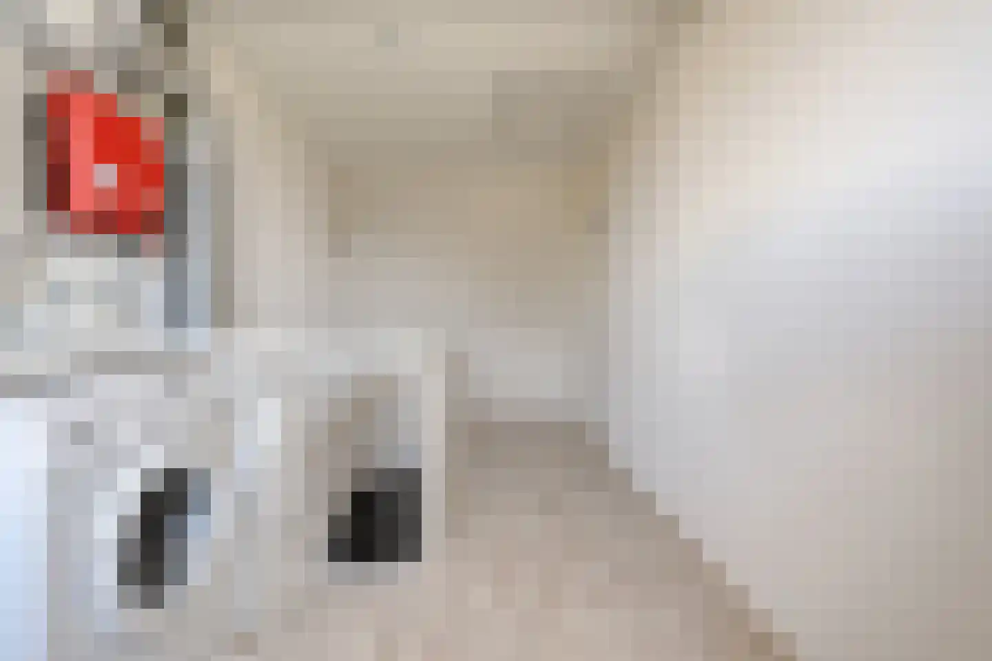Havezathenallee 144 Zwolle thumbnail 33