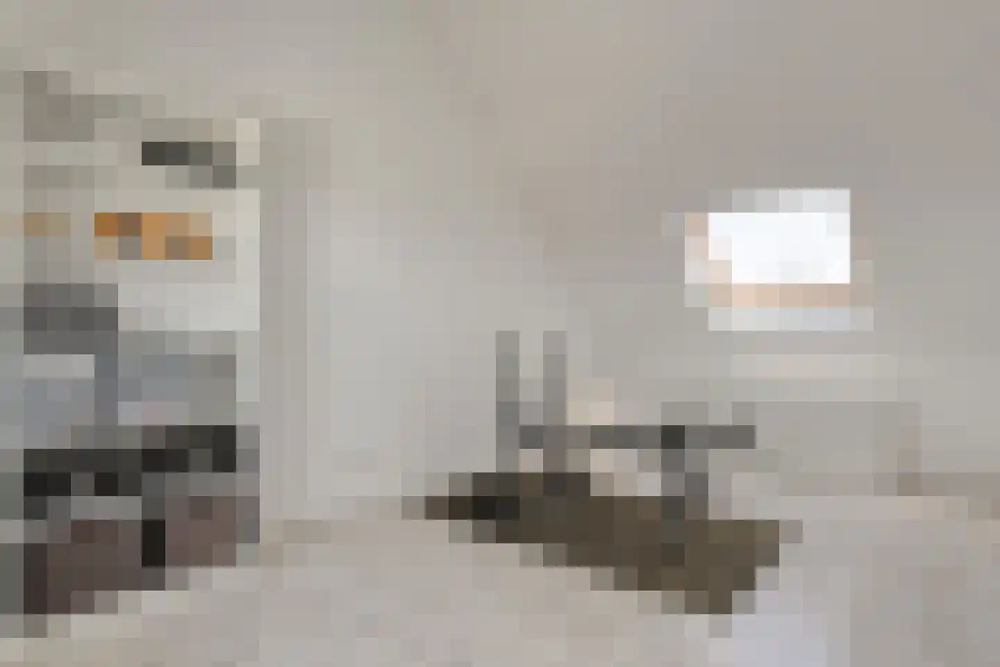 Havezathenallee 144 Zwolle thumbnail 34