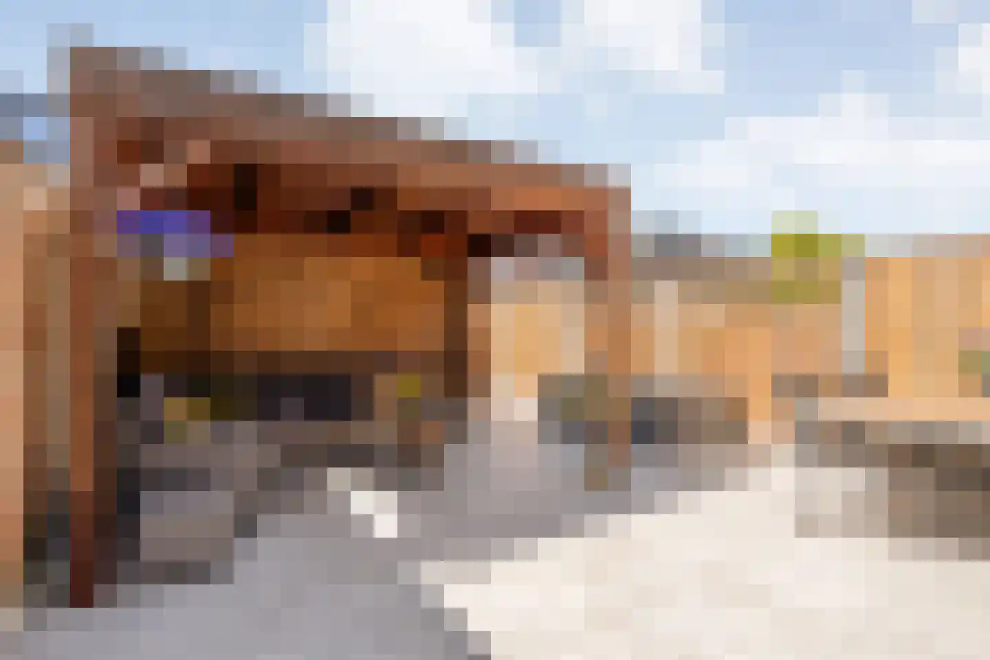 Havezathenallee 144 Zwolle thumbnail 37