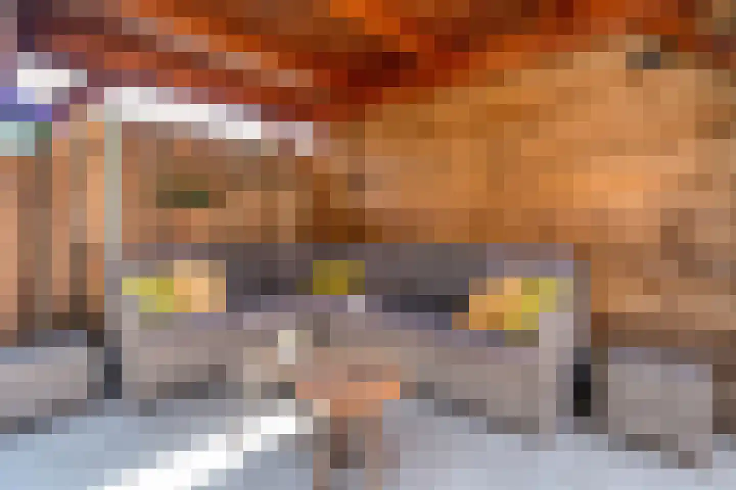 Havezathenallee 144 Zwolle thumbnail 38