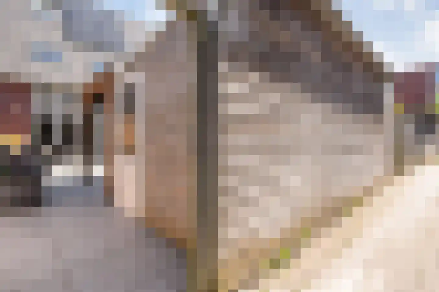 Havezathenallee 144 Zwolle thumbnail 40