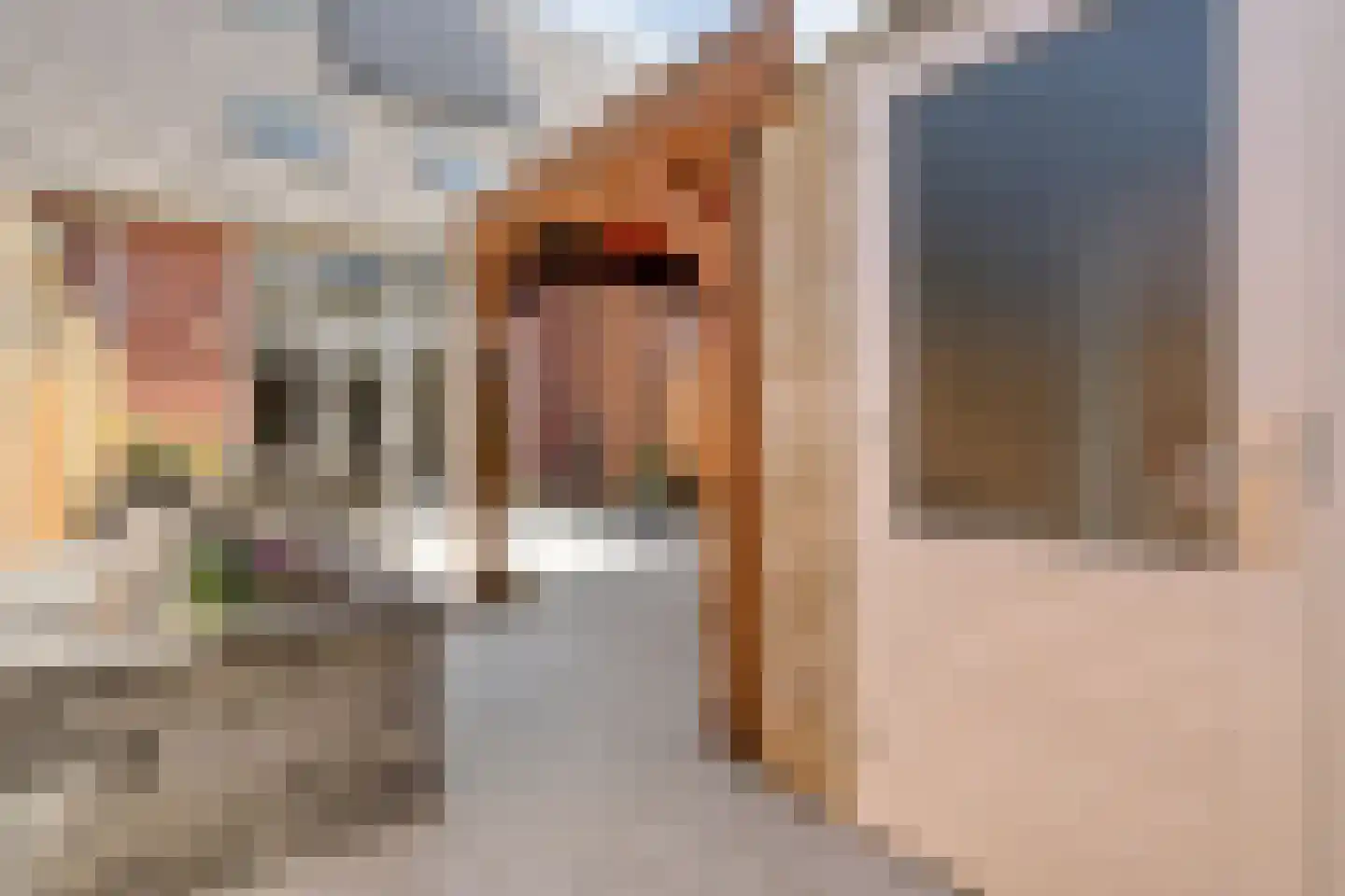 Havezathenallee 144 Zwolle thumbnail 41