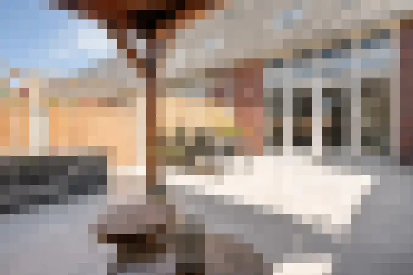 Havezathenallee 144 Zwolle thumbnail 44